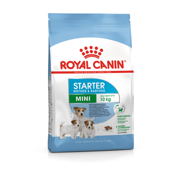 Food for newly delivered mother dog discount