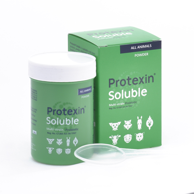 Protexin Soluble Probiotic Powder For Dogs & Cats