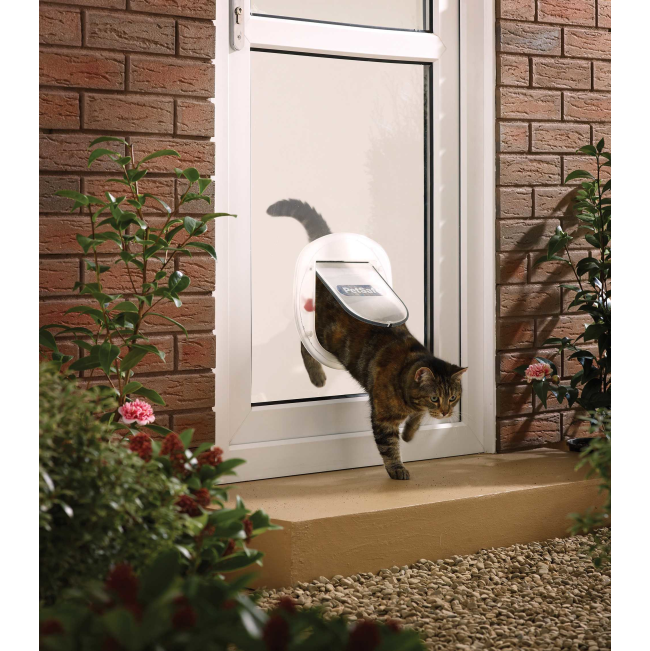 Staywell Big Cat or Small Dog Pet Door