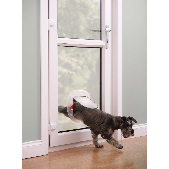 Staywell Big Cat or Small Dog Pet Door