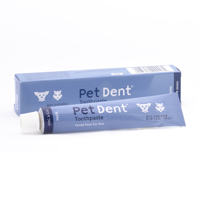 Blue 60g tube of pet toothpaste for dogs and cats for good oral hygiene