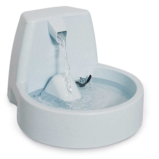 Cat drinking fountain outlet australia