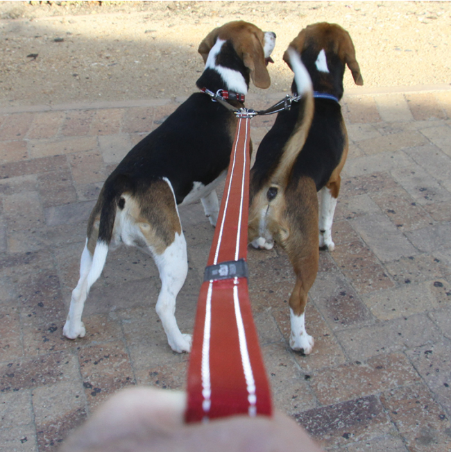 Rogz Utility Reflective Splitz Dog Lead - Black
