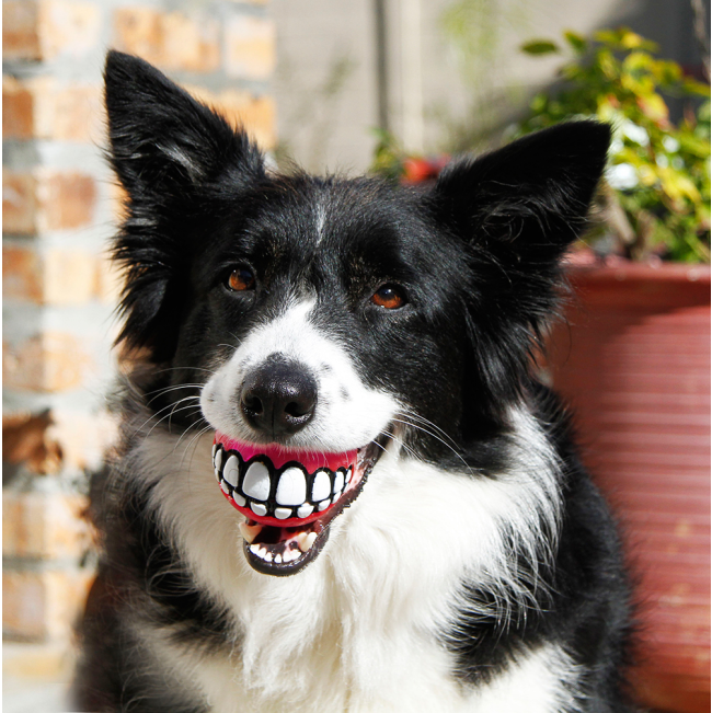 Rogz Grinz Ball for Dogs - Medium