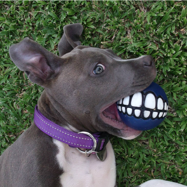Rogz Grinz Ball for Dogs - Medium