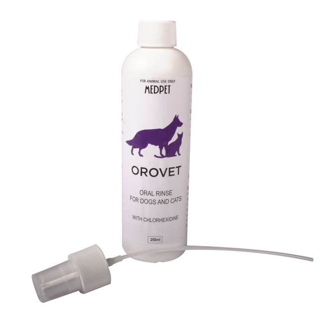 Oral rinse sale for dogs