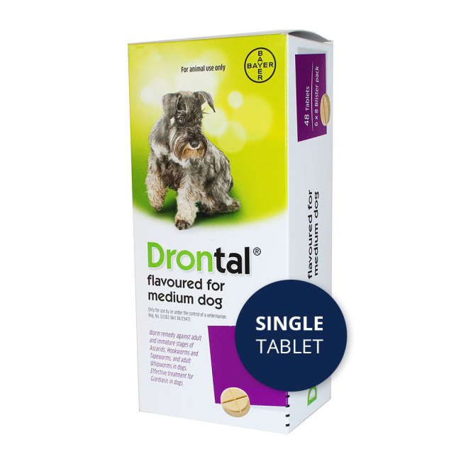 Buy Flavoured Drontal Dewormer for Medium Dogs Online ePETstore