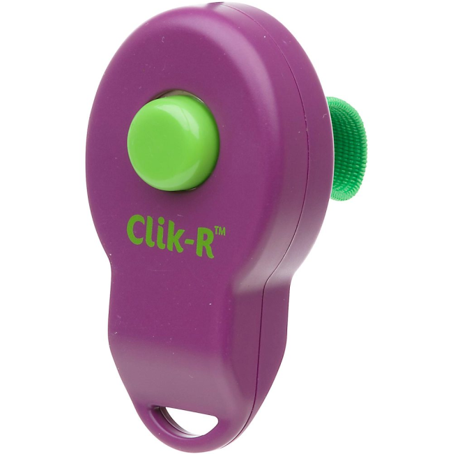 Bright purple and green dog clicker training tool