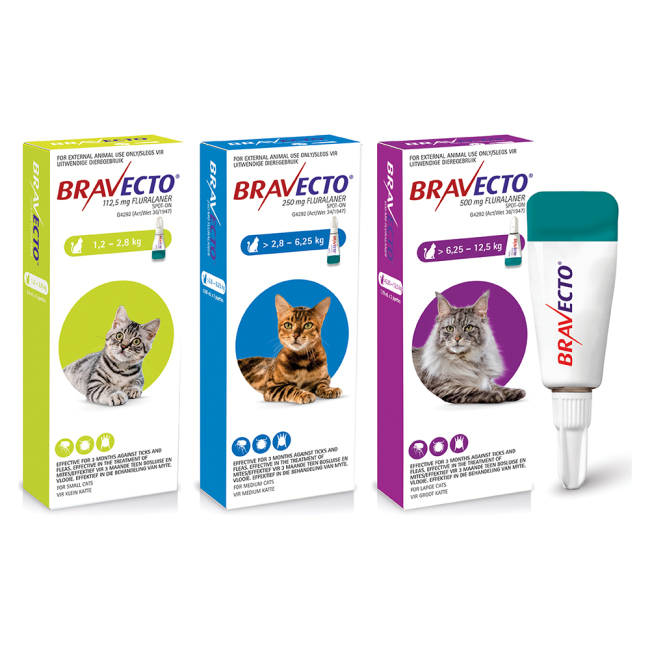 Buy Bravecto Tick Flea Spot On for Cats Online ePETstore