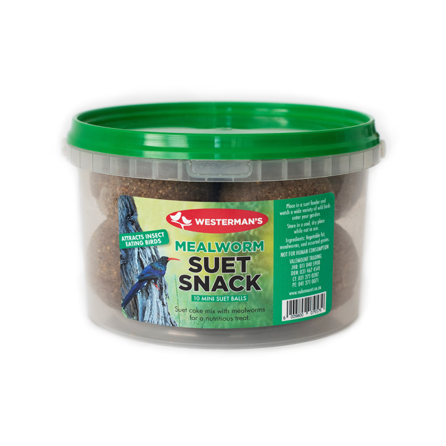 Clear tub with green lid mealworm & suet snack for birds
