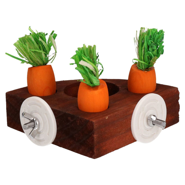 3 wooden carrots in a puzzle tray for small pets