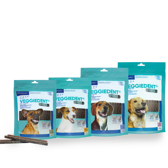 Group shot of 4 sizes of Veggiedent Dental treats bags
