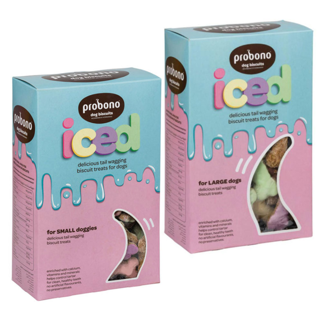 Coloured iced bone shaped dog biscuits