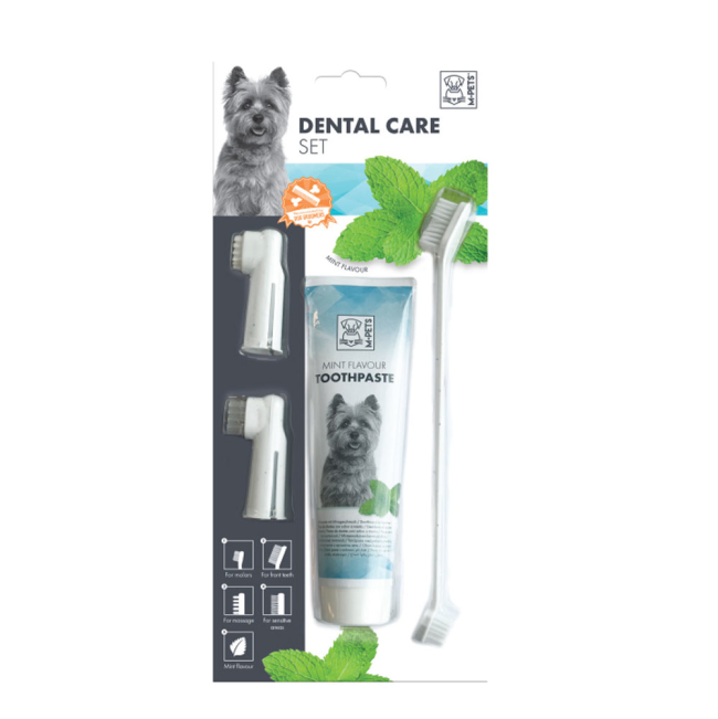 pack of toothbrushes and toothpaste for dogs