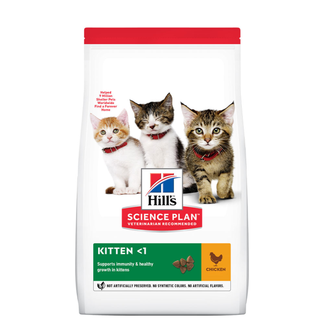 Now kitten cheap food
