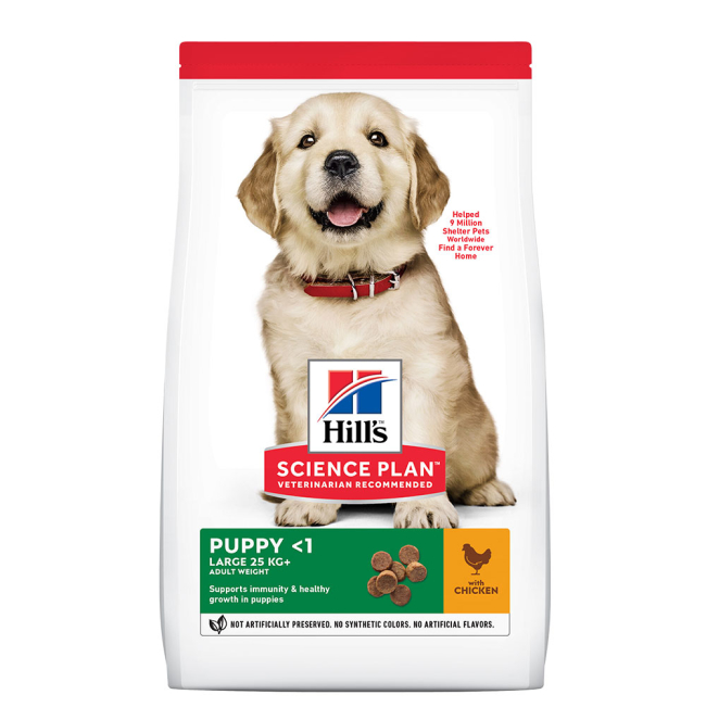 Buy Hill's Chicken Dry Large Breed Puppy Food Online ePETstore