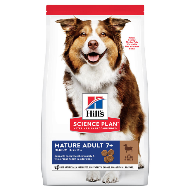 Dog food for older sale dogs with digestive issues