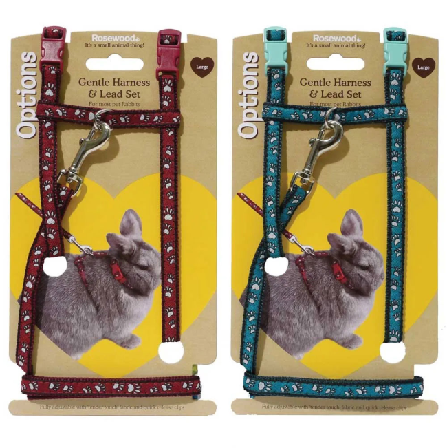 Red and turquoise harness and lead sets for small pets