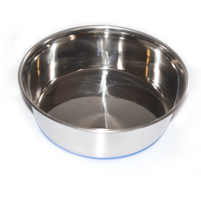 Stainless steel pet bowl with blue silicone base