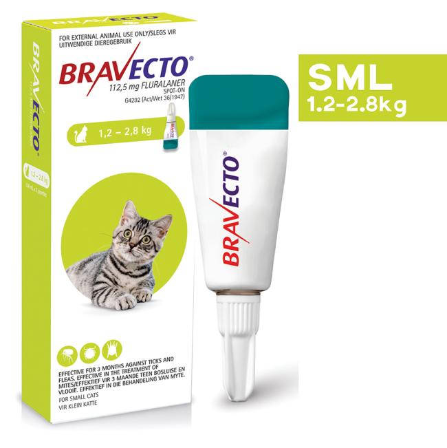 Buy Bravecto Tick Flea Spot On for Cats Online ePETstore