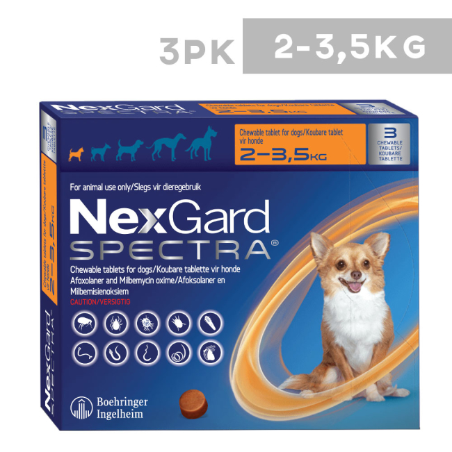 Intestinal Worm Nexgard Spectra Heartworm And Flea Treatment 2025