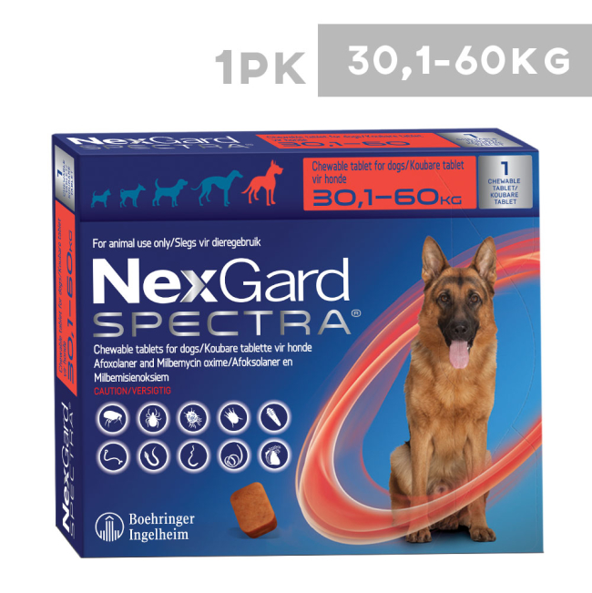 Shop NexGard Spectra Chewable Tablets for Dogs ePETstore