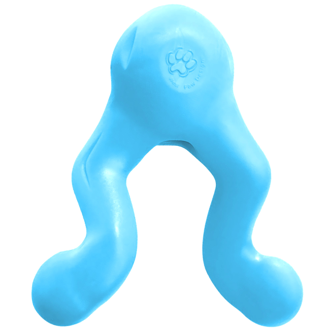 West Paw Tizzi Dog Toy - Large - Aqua Blue