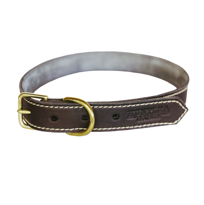 Huntlea Lion Leather Collar for Dogs