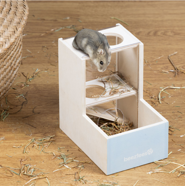 Hamster playing on rodent house