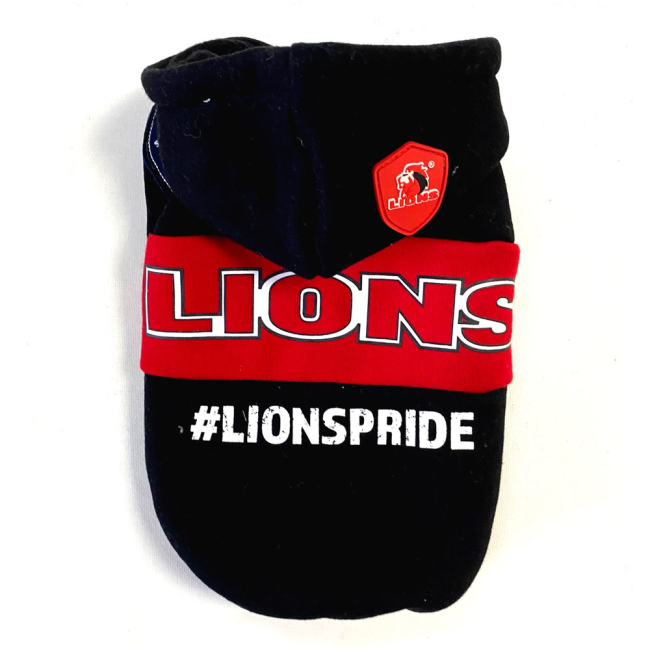 Lions rugby hoodie sale