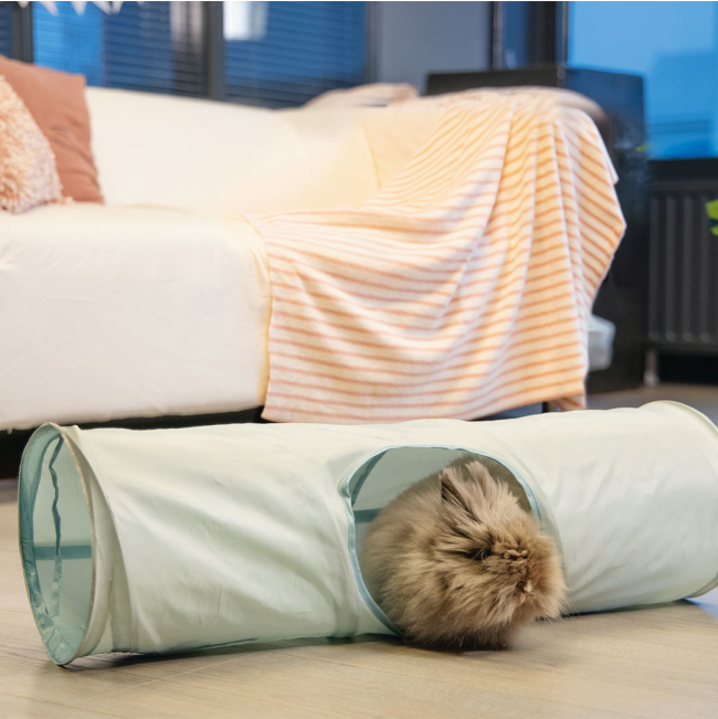 tunnel in living room setting with fluffy bunny inside the mint tunnel for small pets