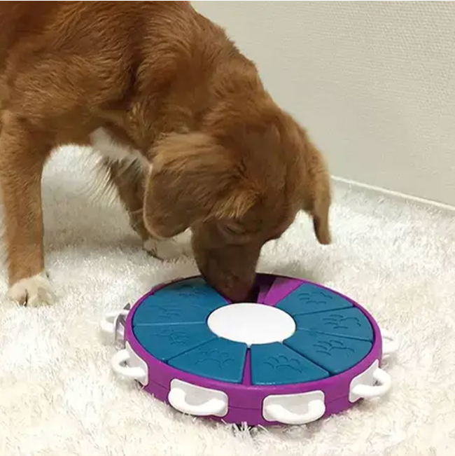 dog playing with twister dog toy