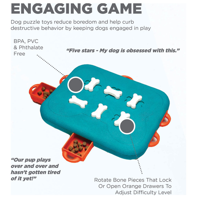 informative image explaining that this is an engaging game for dogs