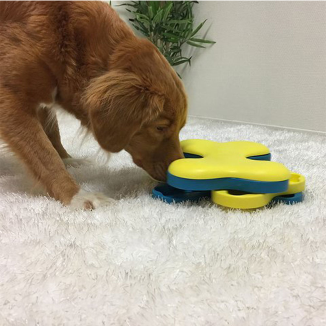 cute dog getting treats from tornado puzzle dog toy