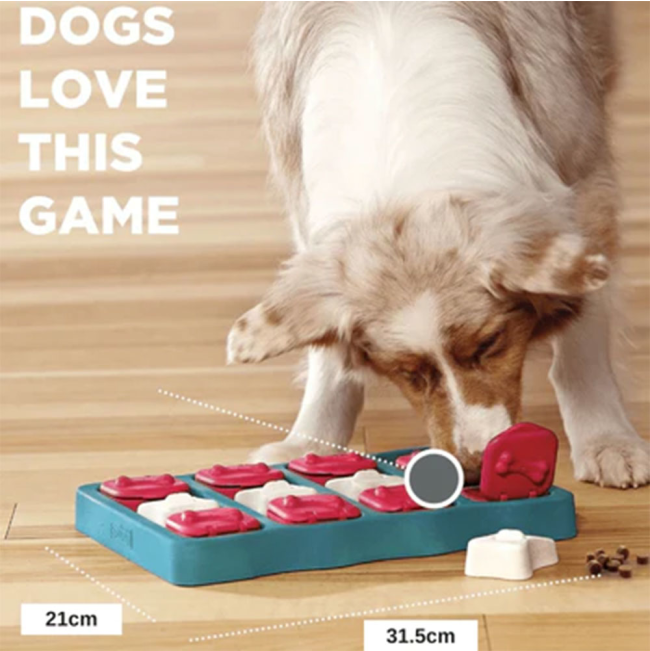 informative image showing that dogs love this puzzle toy