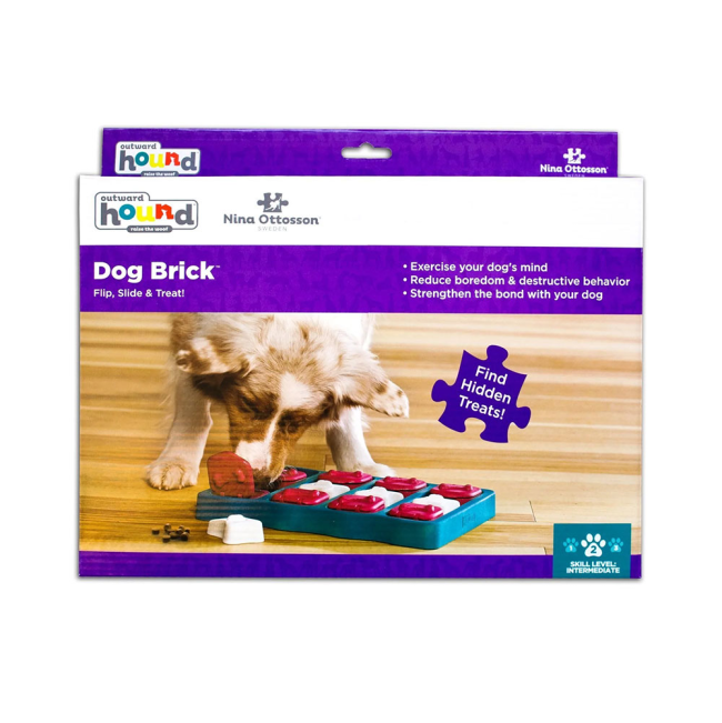 Dog brick puzzle toy in packaging