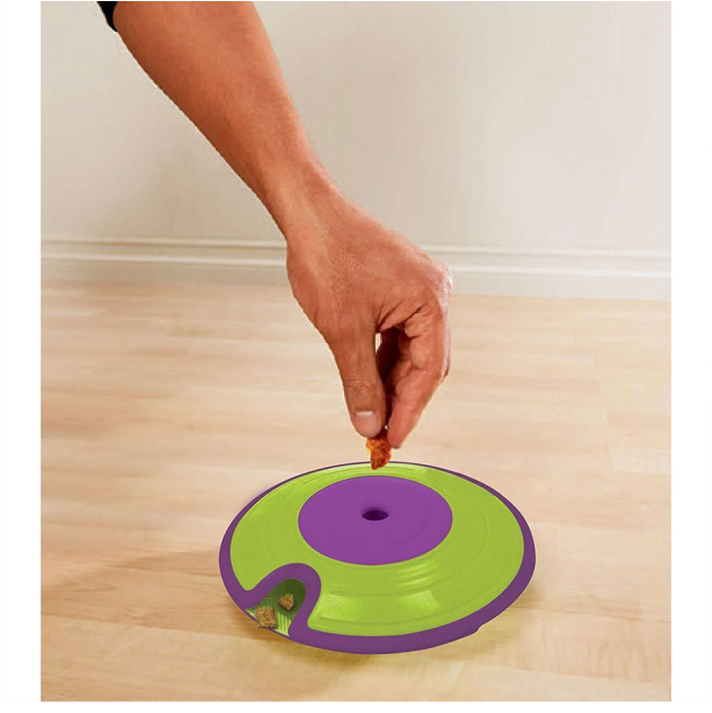 person placing treat into the dog treat maze puzzle toy