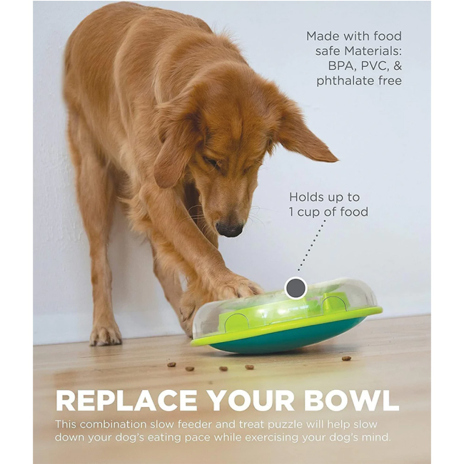 informative image showing dog using wobble bowl