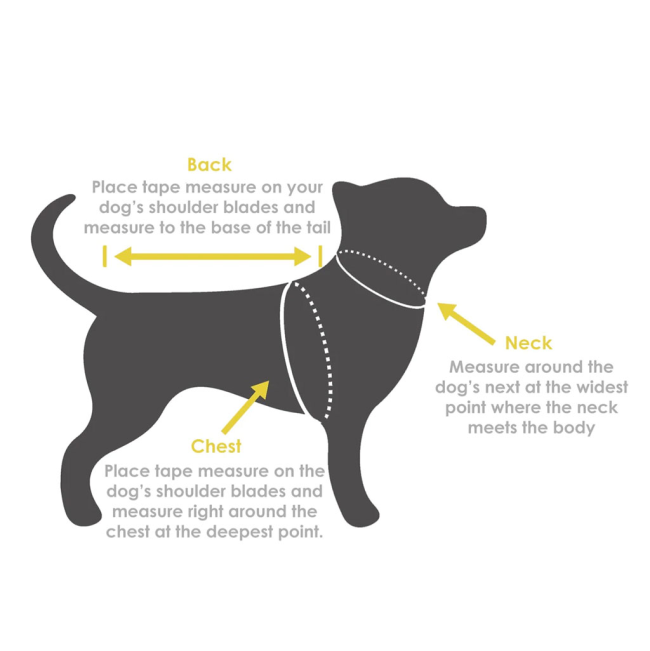 picture showing how to measure your dog for clothing