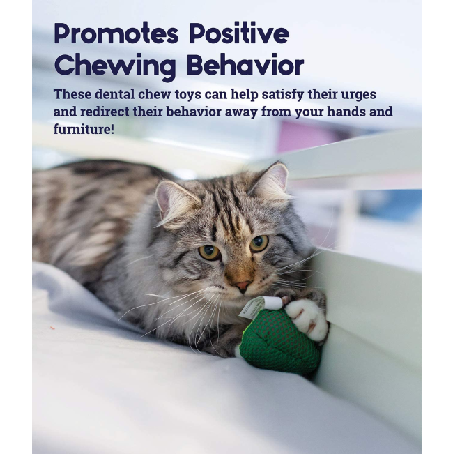 Dental Avo Cat Toy positive chewing behavior