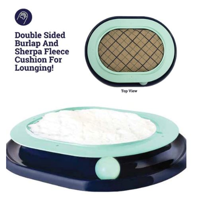 Lay 'n Play Track Cat Toy Top and Side View turquoise and black