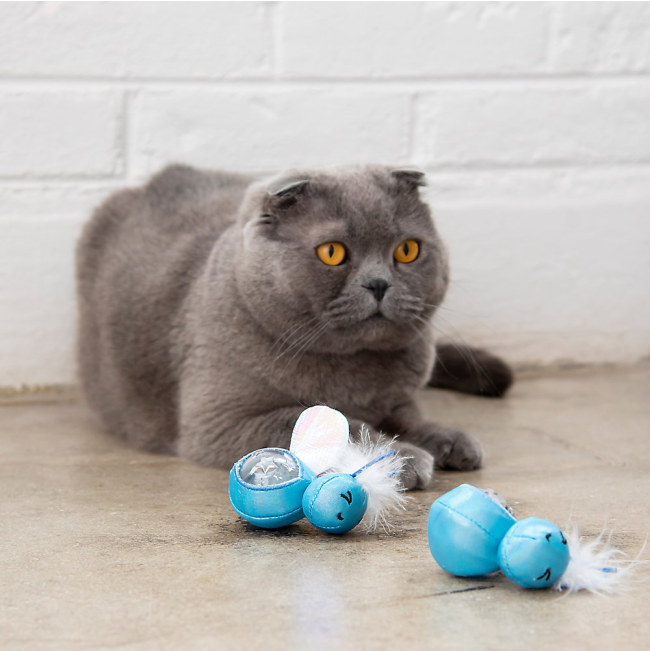 Firefly Treat Stuffer Cat Toy lifestyle with grey cat