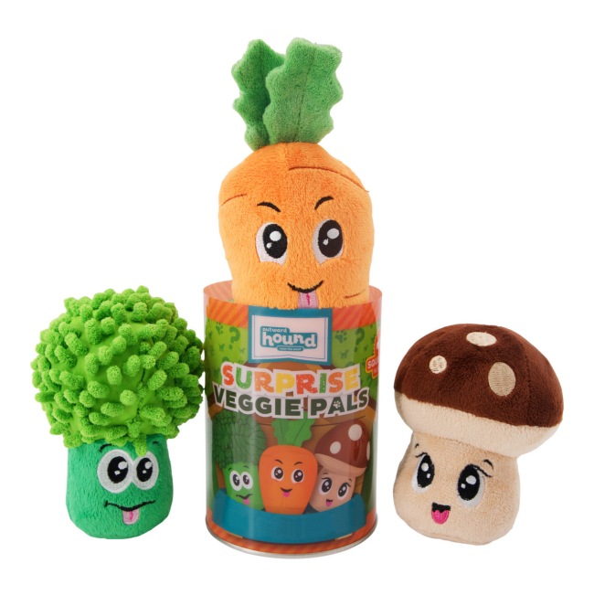 Surprise Veggie Pal Plush Dog Toy different designs with can