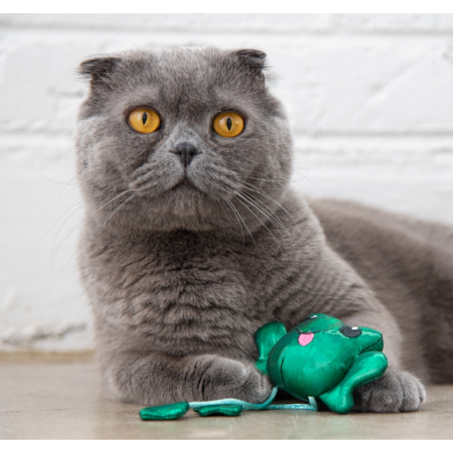 Toss 'N Dangle Frog Cat Toy Fun and Engaging Cat Toy Touch Activated Ribbet green frog toy lifestyle image