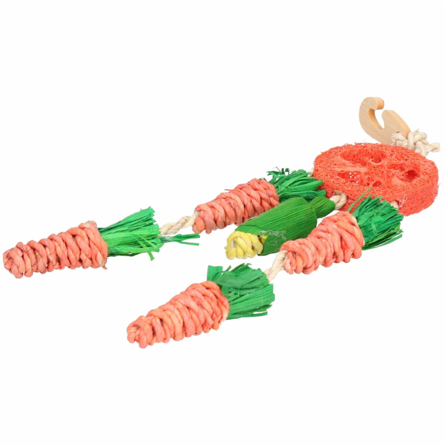 Carrot Dreamcatcher Small Pet Toy