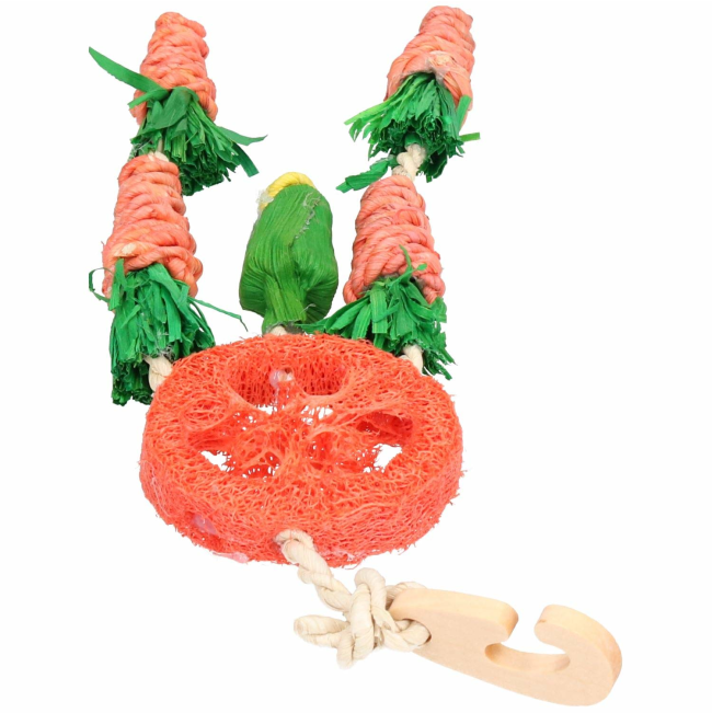 Carrot Dreamcatcher Small Pet Toy top view orange, green in color with wood