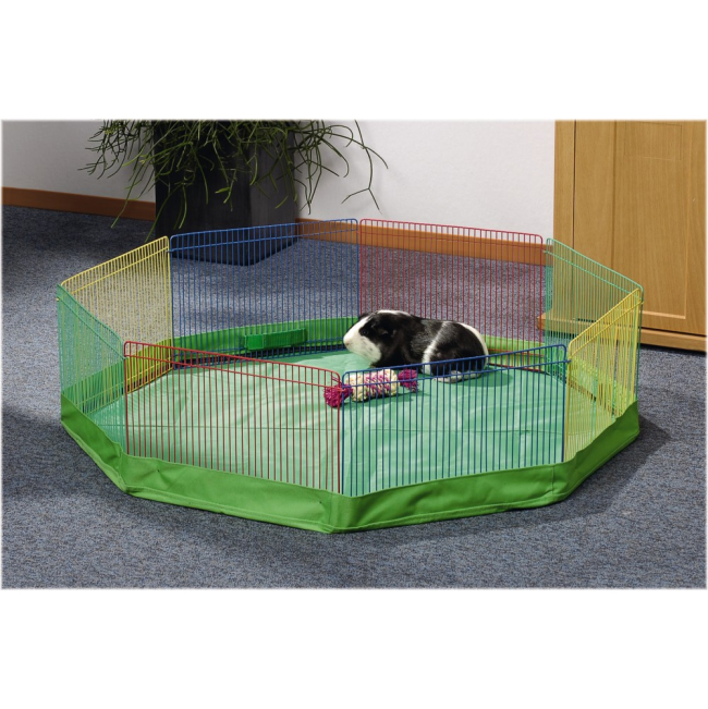 floor mat lifestyle guinea pig