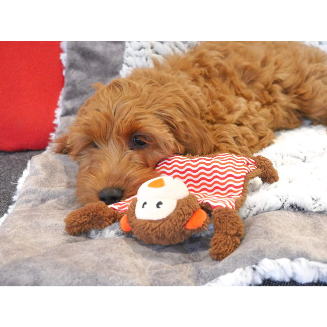 Little Nippers Cheeky Chimp Dog Toy lifestyle with cocker puppy