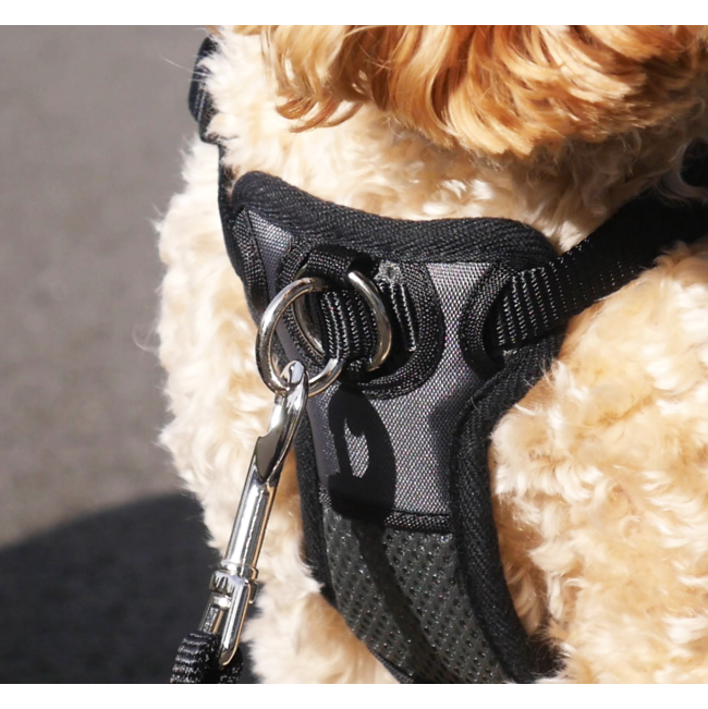 front view of the black padded harness front connect