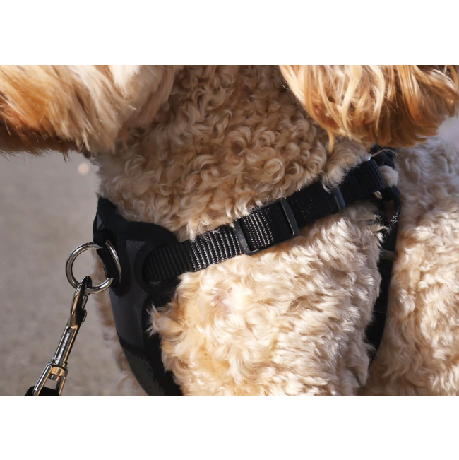 side view of black padded harness front connect